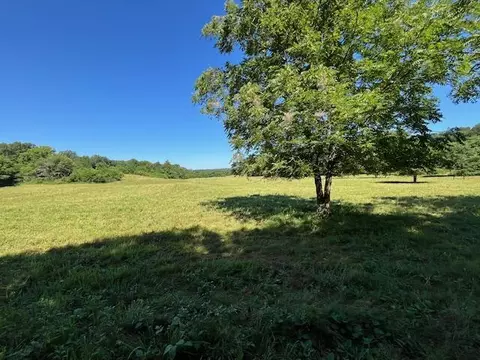tbd Iris Rd, Neosho, MO 64850 photo 4