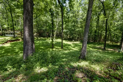 4875 E Cimarron Ln, Springfield, MO 65803 photo 41