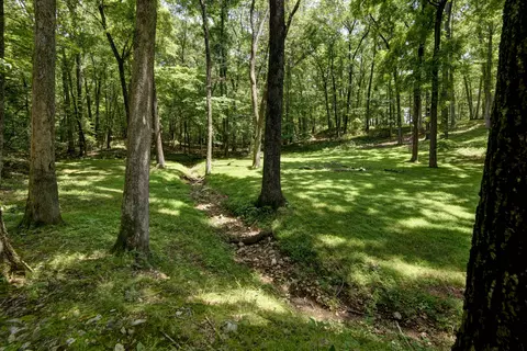 4875 E Cimarron Ln, Springfield, MO 65803 photo 48