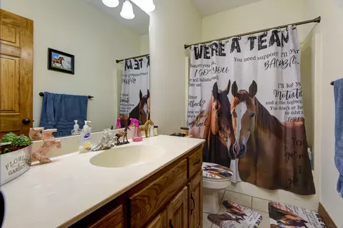 475 Clearspring Rd, Sparta, MO 65753 photo 19