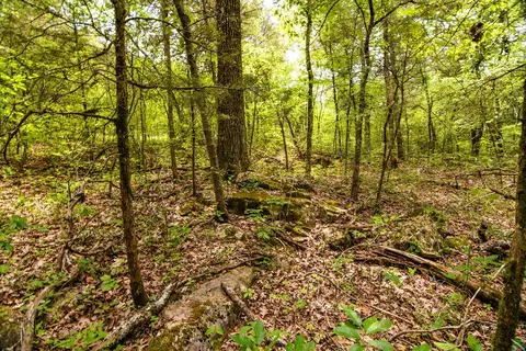 tbd Valley View Rd, Forsyth, MO 65653 photo 34
