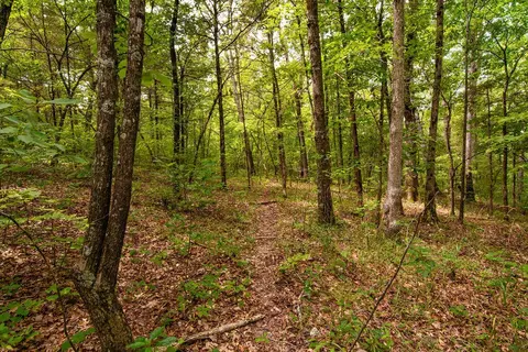 tbd Valley View Rd, Forsyth, MO 65653 photo 22