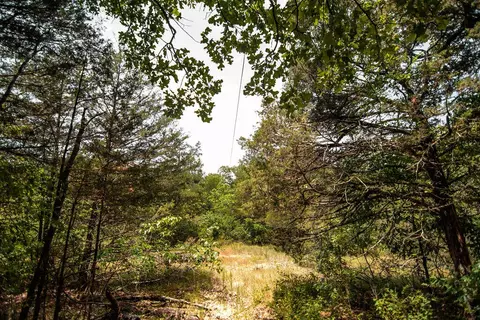 tbd Valley View Rd, Forsyth, MO 65653 photo 15