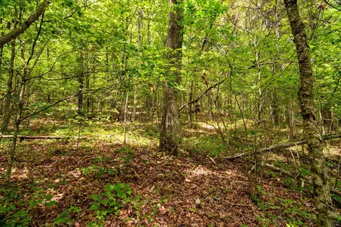 tbd Valley View Rd, Forsyth, MO 65653 photo 28