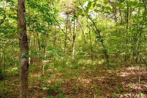 tbd Valley View Rd, Forsyth, MO 65653 photo 25