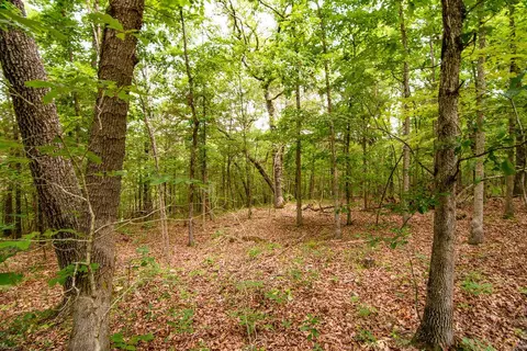 tbd Valley View Rd, Forsyth, MO 65653 photo 7