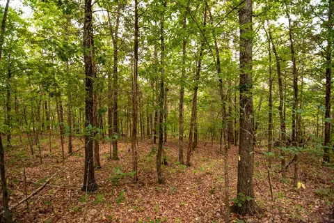 tbd Valley View Rd, Forsyth, MO 65653 photo 17