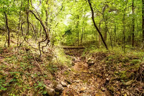 tbd Valley View Rd, Forsyth, MO 65653 photo 10