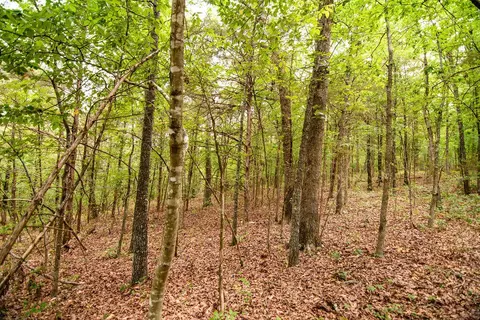 tbd Valley View Rd, Forsyth, MO 65653 photo 19