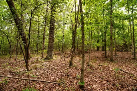 tbd Valley View Rd, Forsyth, MO 65653 photo 18