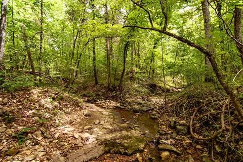 tbd Valley View Rd, Forsyth, MO 65653 photo 11
