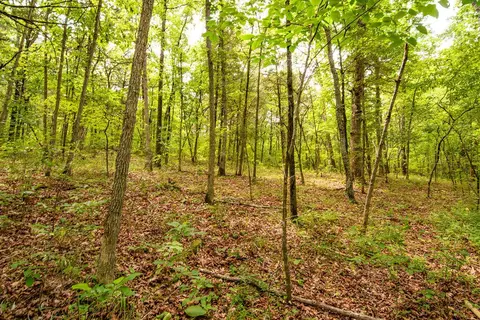 tbd Valley View Rd, Forsyth, MO 65653 photo 24