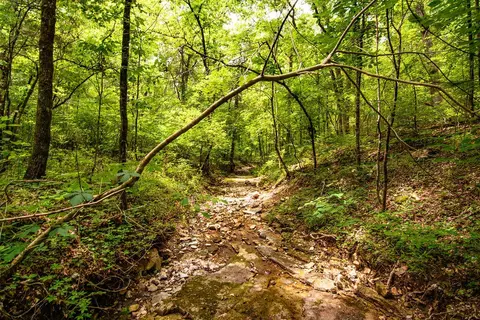 tbd Valley View Rd, Forsyth, MO 65653 photo 12