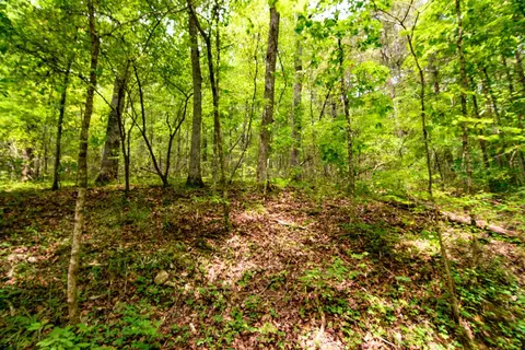 tbd Valley View Rd, Forsyth, MO 65653 photo 27