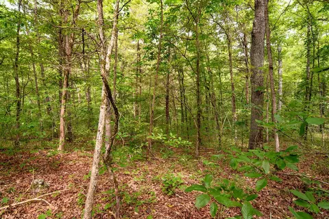 tbd Valley View Rd, Forsyth, MO 65653 photo 23