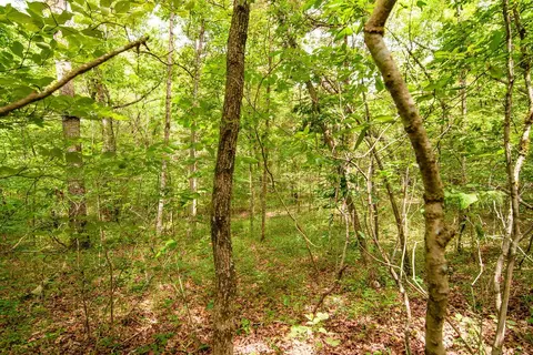 tbd Valley View Rd, Forsyth, MO 65653 photo 26