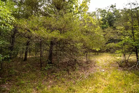 tbd Valley View Rd, Forsyth, MO 65653 photo 9