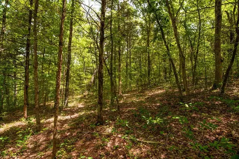 tbd Valley View Rd, Forsyth, MO 65653 photo 32