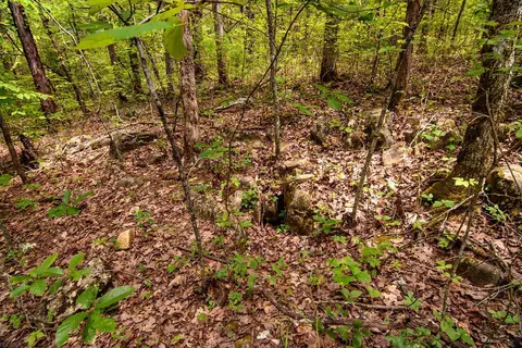 tbd Valley View Rd, Forsyth, MO 65653 photo 33