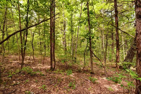 tbd Valley View Rd, Forsyth, MO 65653 photo 21