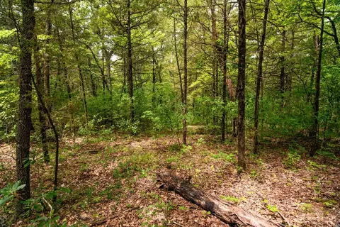 tbd Valley View Rd, Forsyth, MO 65653 photo 13