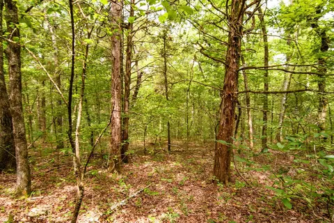 tbd Valley View Rd, Forsyth, MO 65653 photo 20