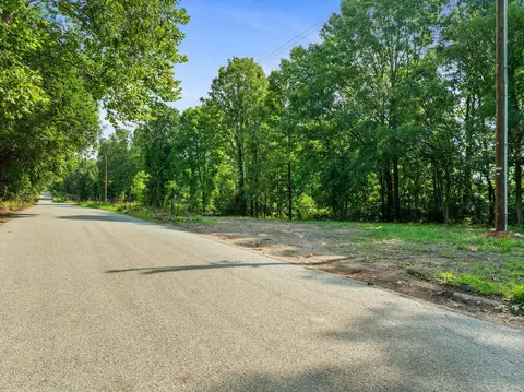 000 Sans Souci Dr, Shell Knob, MO 65747 photo 4