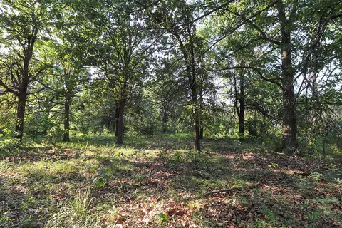 000 Vineyard Ln, Tunas, MO 65764 photo 12