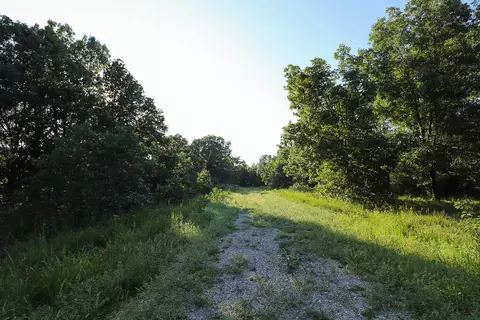 000 Vineyard Ln, Tunas, MO 65764 photo 5