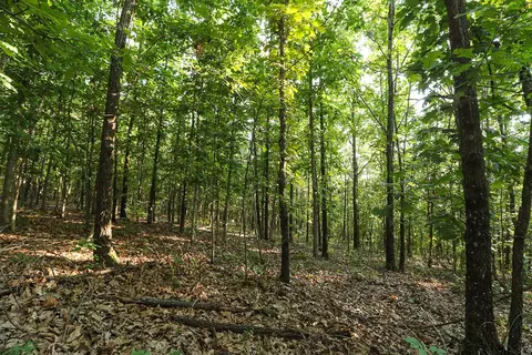 000 Vineyard Ln, Tunas, MO 65764 photo 15