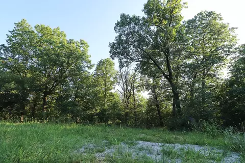 000 Vineyard Ln, Tunas, MO 65764 photo 6