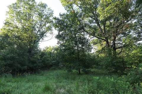 000 Vineyard Ln, Tunas, MO 65764 photo 22