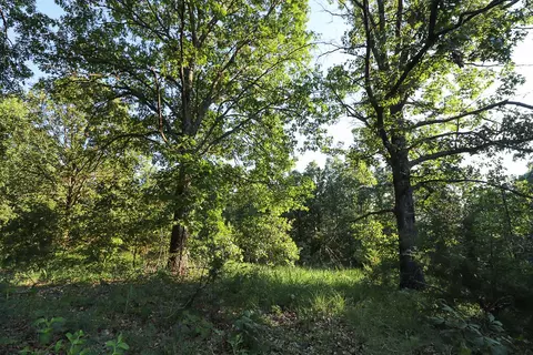 000 Vineyard Ln, Tunas, MO 65764 photo 7