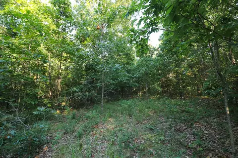 000 Vineyard Ln, Tunas, MO 65764 photo 20