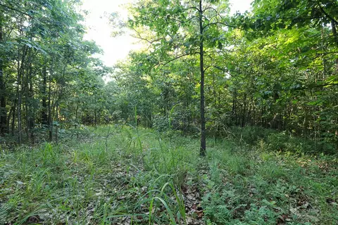 000 Vineyard Ln, Tunas, MO 65764 photo 18