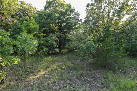 000 Vineyard Ln, Tunas, MO 65764 photo 11