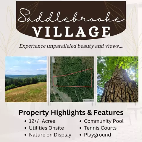 408 Sunset Dr, Saddlebrooke, MO 65630