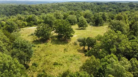 3949 Bado Rd, Cabool, MO 65689 photo 1