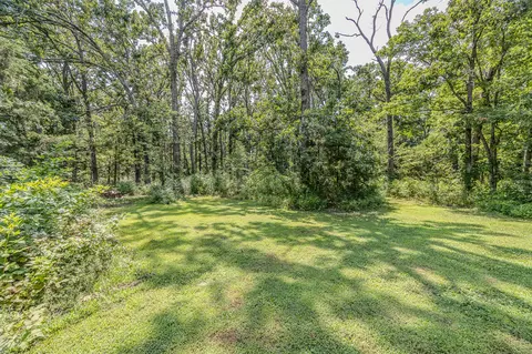 49 Krause Dr, Marshfield, MO 65706 photo 45