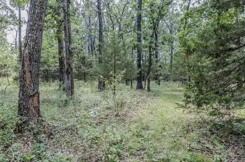 49 Krause Dr, Marshfield, MO 65706 photo 46