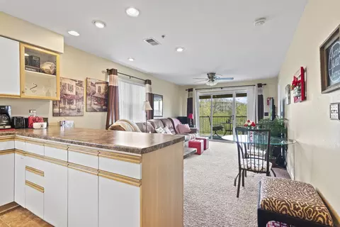515 Valley View Rd #101, Branson, MO 65616 photo 4