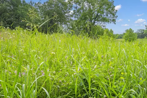 lot14 Lake Rdg, Shell Knob, MO 65747 photo 7