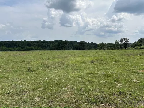 000 Private Road 63-91, Thayer, MO 65791 photo 14