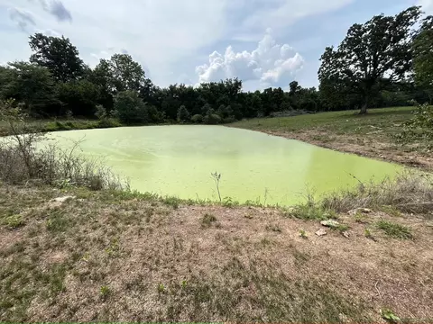 000 Private Road 63-91, Thayer, MO 65791 photo 8