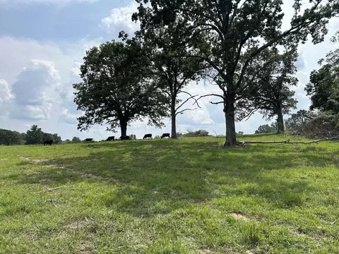 000 Private Road 63-91, Thayer, MO 65791 photo 4