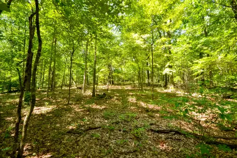 0000 Wood Thrush Ln, Ozark, MO 65721