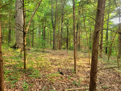lot1 State Highway 176, Spokane, MO 65754 photo 6