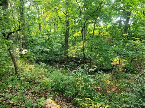 lot1 State Highway 176, Spokane, MO 65754 photo 5