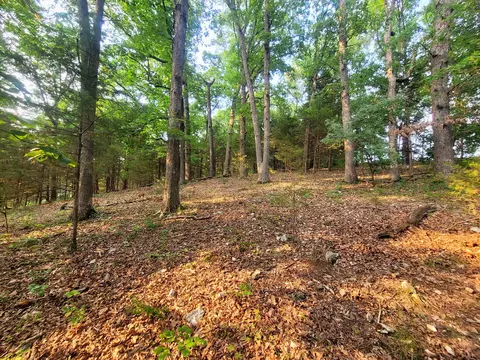 lot1 State Highway 176, Spokane, MO 65754 photo 11