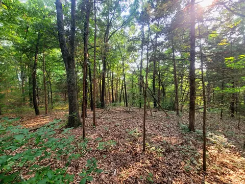 lot1 State Highway 176, Spokane, MO 65754 photo 7